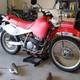 Illustration for article titled Flat Track XR650L: Rough Mock Up is Looking Pretty Good.